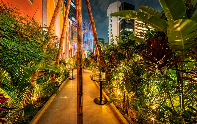 Continuação do caminho do jardim entre bambus e folhagens iluminadas