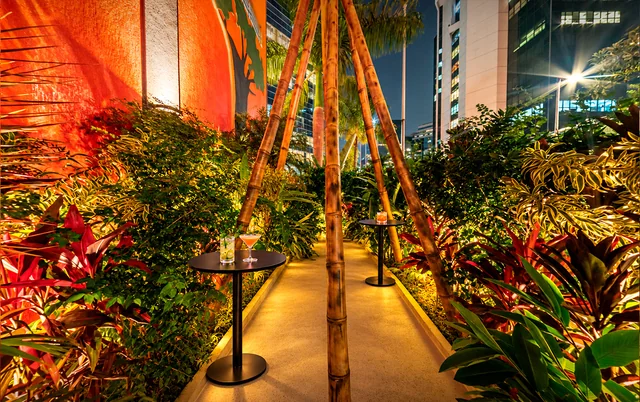 Caminho do jardim com bambus, plantas e iluminação dourada